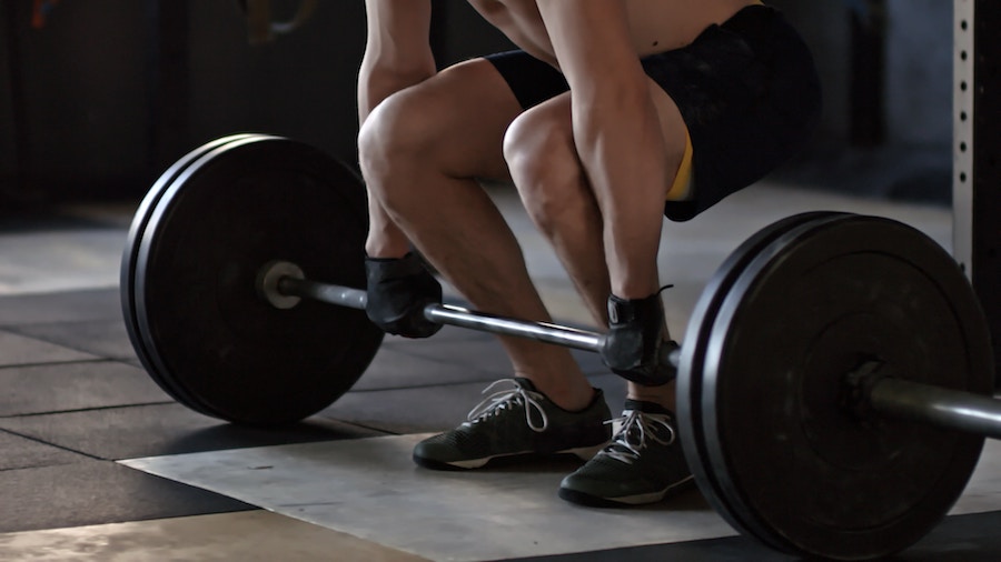 Learn more about Fenix, one of [...]</body></html>
