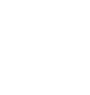Fenix-Logo_white MAIN LOGO